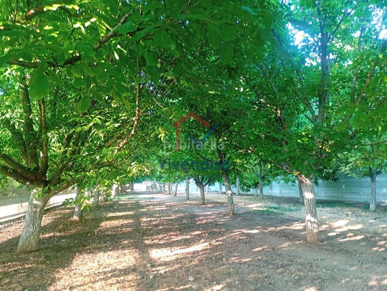 Foto baeb3a6d-5acf-46a6-8d92-02c0a6197443. Finca rústica a Horche