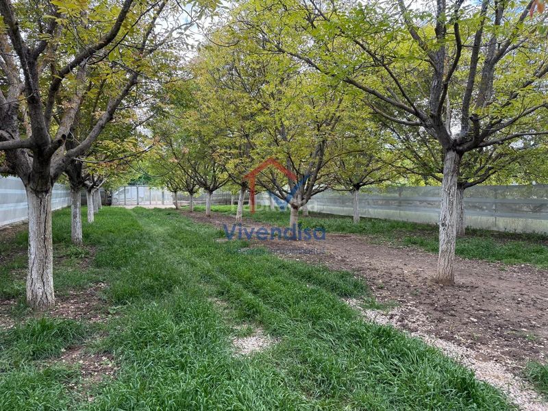 Foto c20aa852-e477-45d0-a720-21a8f7ca04aa. Finca rústica a Horche