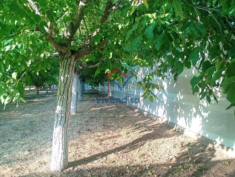 Foto d54619d7-c428-4d4a-9ac7-9d1058a174c4. Finca rústica a Horche