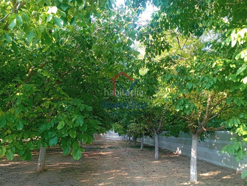 Foto e0f8549b-3125-45c5-98ac-7eb6e90962d2. Finca rústica a Horche