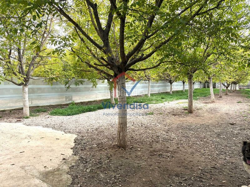 Foto f17ab328-c373-4889-8e8c-ff89f6826760. Finca rústica a Horche