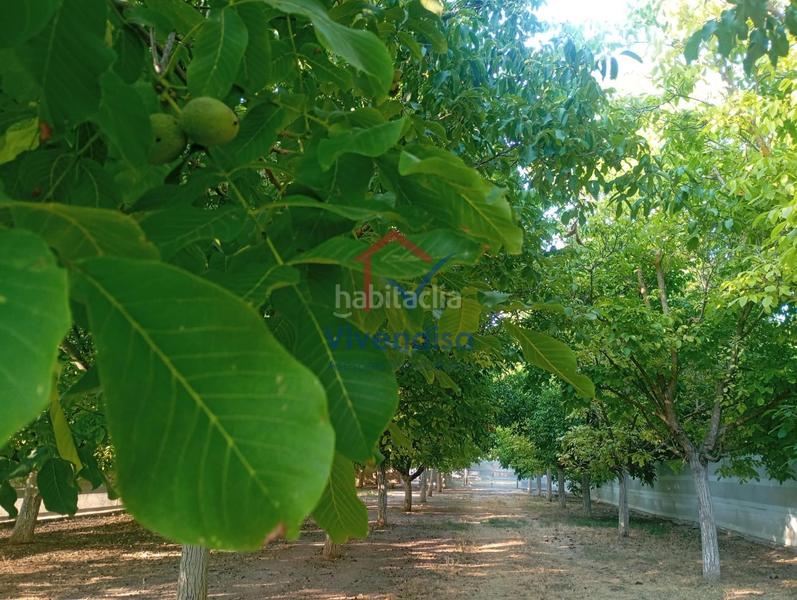 Foto 0d039266-480f-409e-b4bd-3c8858cf6287. Landgut in Horche