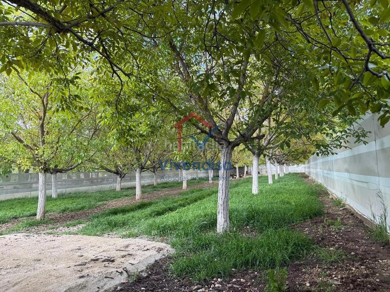 Foto 24641855-e502-4592-81cf-6f7f986b03a3. Landgut in Horche