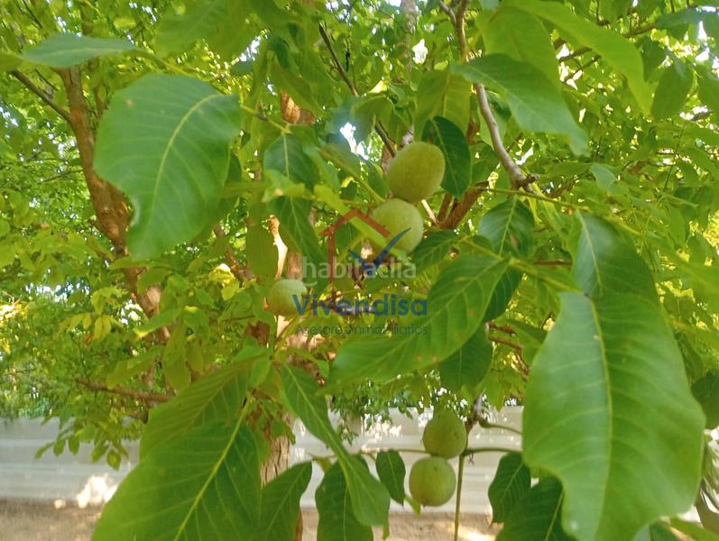 Foto 3b969e7f-3562-4db4-afe6-49cebf5a03e0. Landgut in Horche