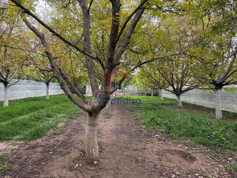 Foto 58a37adb-7101-49db-8d9b-f48bdf2cd600. Landgut in Horche