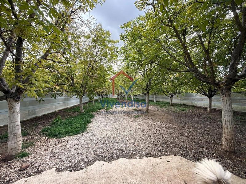 Foto 622dca1f-b237-48f4-951a-a781784e9187. Landgut in Horche