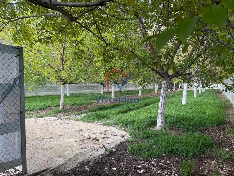 Foto 79cc55d8-7e73-4eb4-8852-fb1eead9ca71. Landgut in Horche