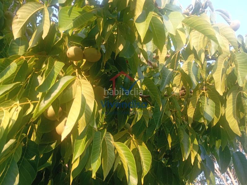 Foto a0cd67e5-7aa1-41b3-a75a-e320d38fa67f. Landgut in Horche