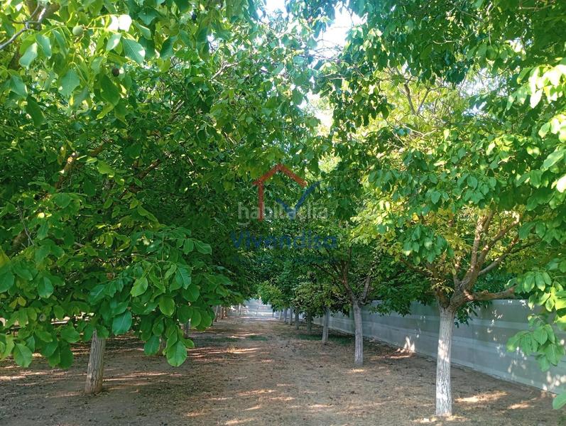 Foto e0f8549b-3125-45c5-98ac-7eb6e90962d2. Landgut in Horche