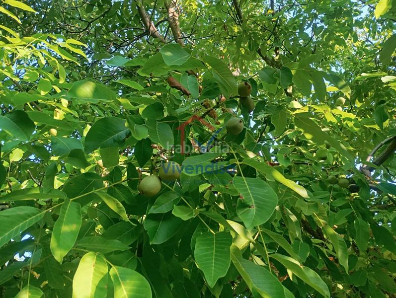 Foto ec38d1f4-415f-4474-a2d1-708f28a2419c. Landgut in Horche