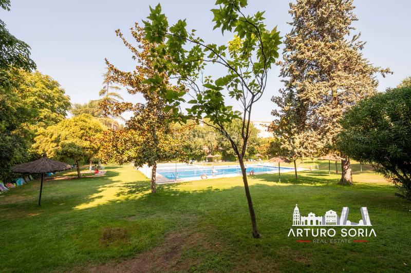Foto 17b242a4-2de0-4f33-91ff-309eb407c6eb. Affitto appartamento con riscaldamento piscina in Madrid