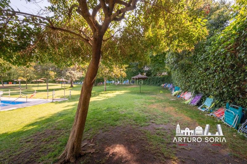 Foto 10d461f5-170c-4710-bdf3-fb44cc8fad7b. Rent flat with heating pool in San Juan Bautista Madrid