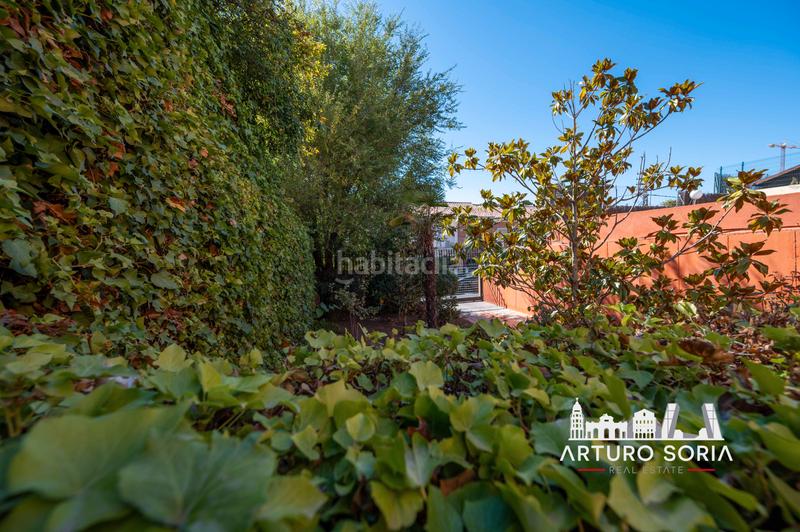 Foto 6c824ccf-d48e-4f1f-a236-c641f2cbc56e. Alquiler piso en Concepción Madrid