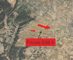 Finca rústica a C. academia de ingenieros. S38.3. tres fincas de suelo no urbanizable en horche, guadalajar