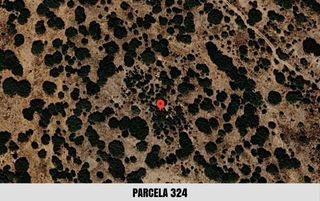 Finca r�stica en Los cerritos y umbria del puntal. Parcelas r�sticas en torrijo del campo teruel. parcelas 324 y 38
