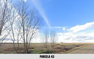 Finca r�stica en Pradillos, ermita y carreastudillo. Parcelas r�sticas en lantadilla palencia. parcela 82, 56 y 43