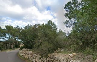 Finca r�stica en Carrer es coll d os, son moll. Parcela r�stica en capdepera islas baleares. parcela 210
