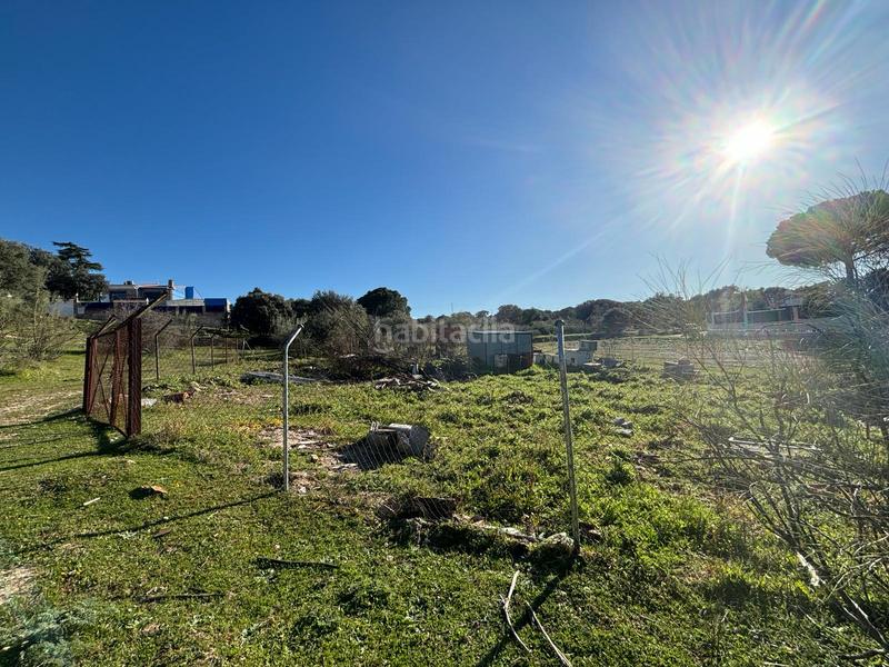 Foto 14c70e16-0aec-48bb-8d2a-d6b21cab33c9. Solar industrial a Aldea del Fresno