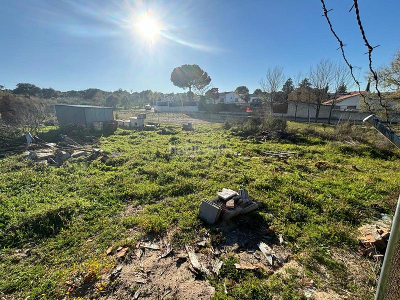 Foto 2e4e132b-d60a-4edb-9092-4a6353ca897e. Solar industrial a Aldea del Fresno