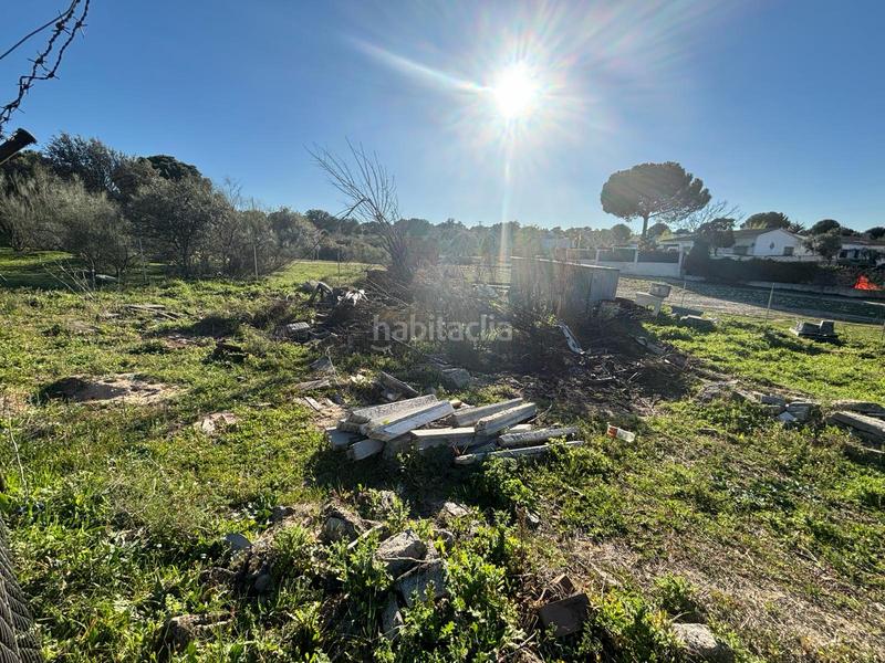 Foto 554d5870-5ab1-4141-a687-0584f4f2df91. Solar industrial a Aldea del Fresno