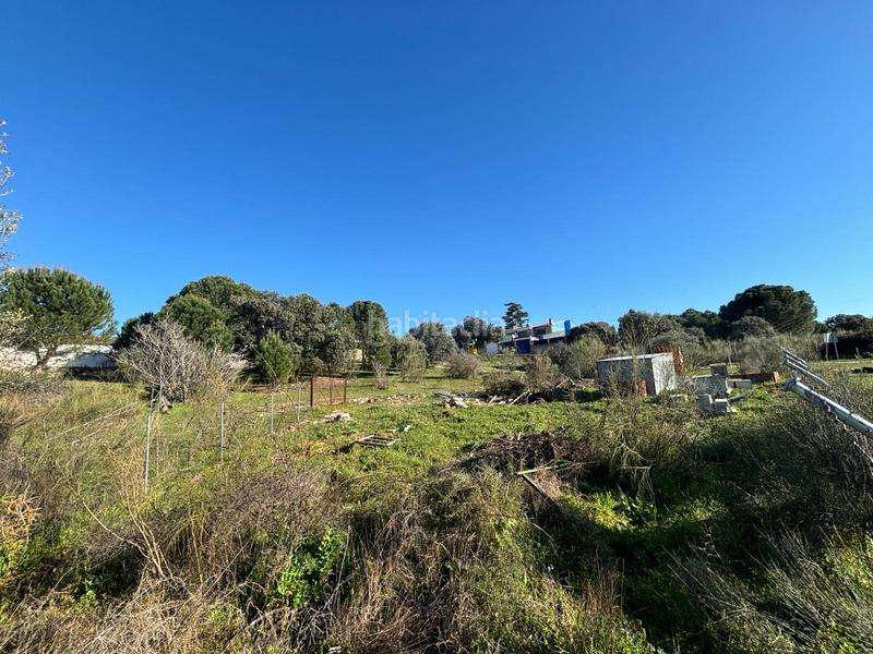 Foto 6365ad4b-5adf-47a9-804a-249075fe53d4. Solar industrial a Aldea del Fresno