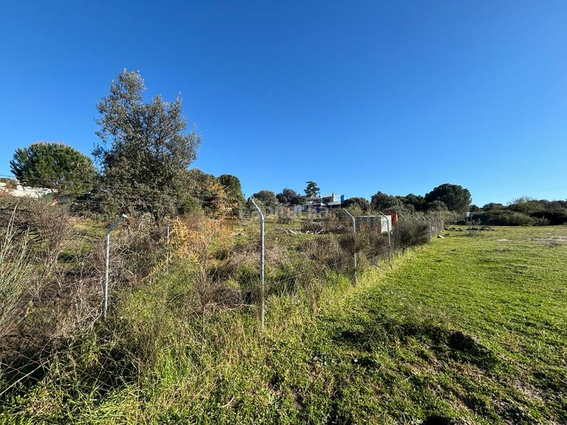 Foto a8dc9c61-7d57-4c2d-bd44-6ca07617bb61. Solar industrial a Aldea del Fresno