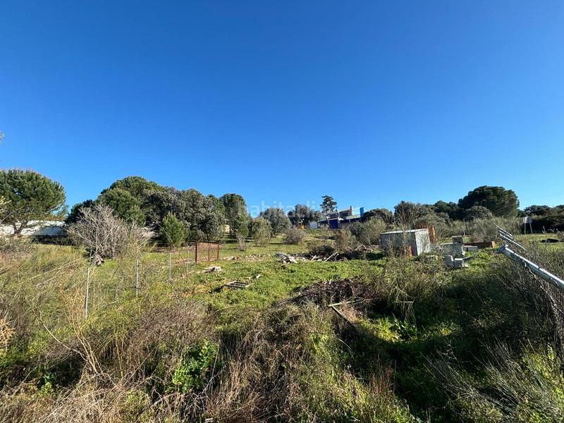 Foto abf5ab85-609d-478f-b868-4016e4d78955. Solar industrial a Aldea del Fresno