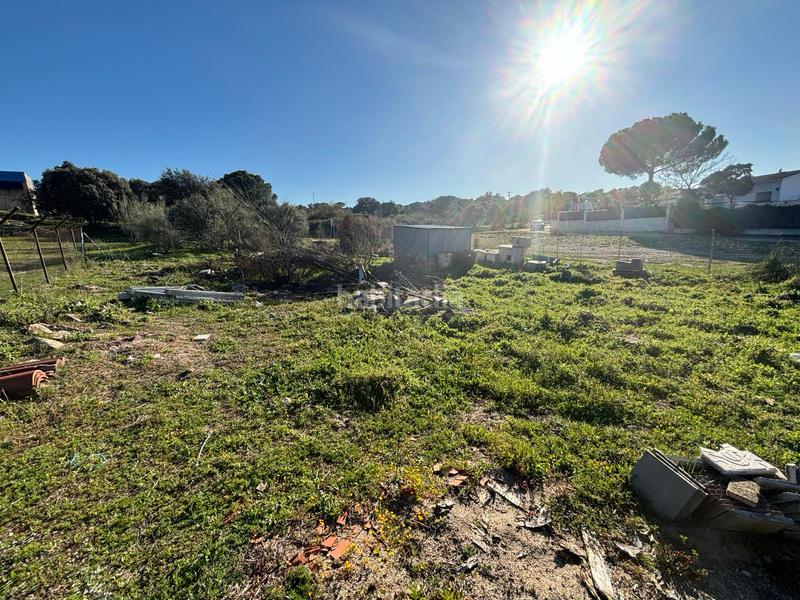 Foto d5dc21b4-a704-46a3-a039-e122ff4cf4aa. Solar industrial a Aldea del Fresno