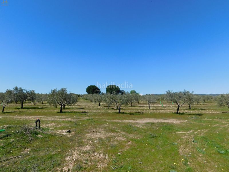 Foto 0616e797-3835-4515-8f76-7c59151df624. Finca rústica  de 104.853 m² en Villa del Prado