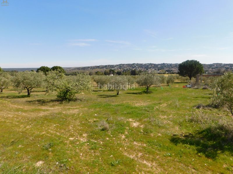 Foto 077db681-839d-48f7-92b9-b70abb2aef44. Finca rústica  de 104.853 m² en Villa del Prado