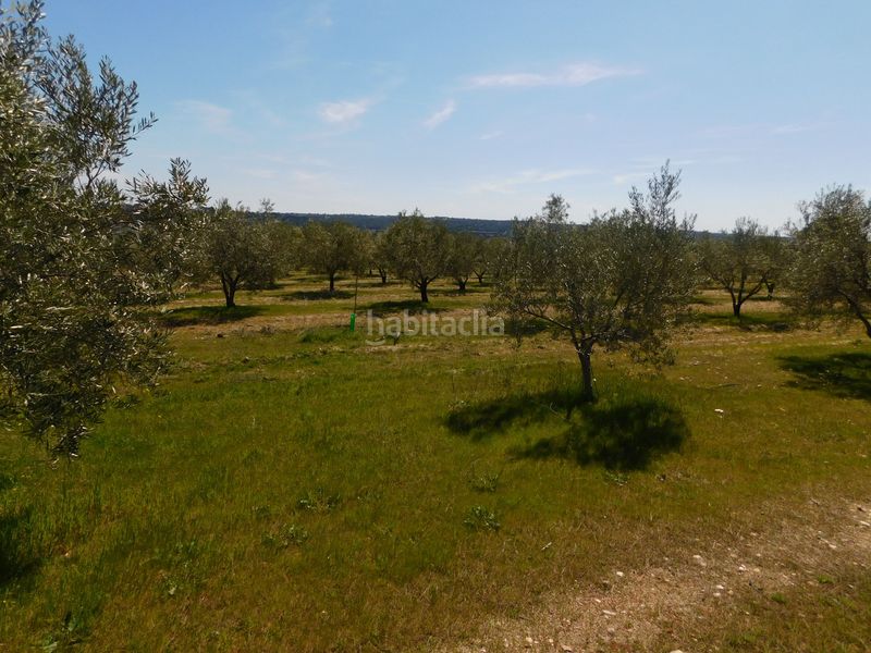 Foto 0a73657e-e8f5-4112-9fe6-f1a22030714a. Finca rústica  de 104.853 m² en Villa del Prado