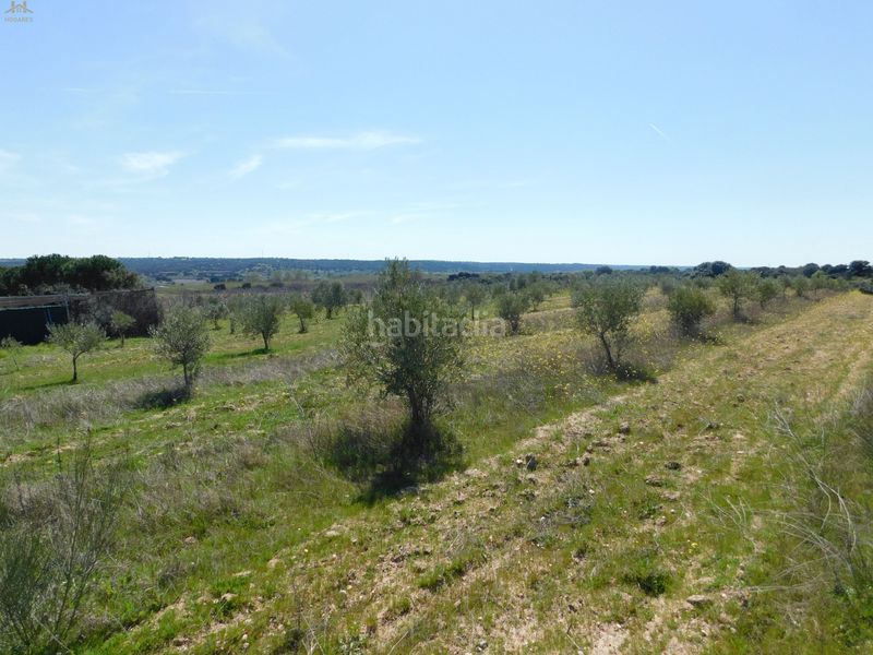 Foto 18c37b60-33a0-44e6-a409-97a31ee05cd1. Finca rústica  de 104.853 m² en Villa del Prado
