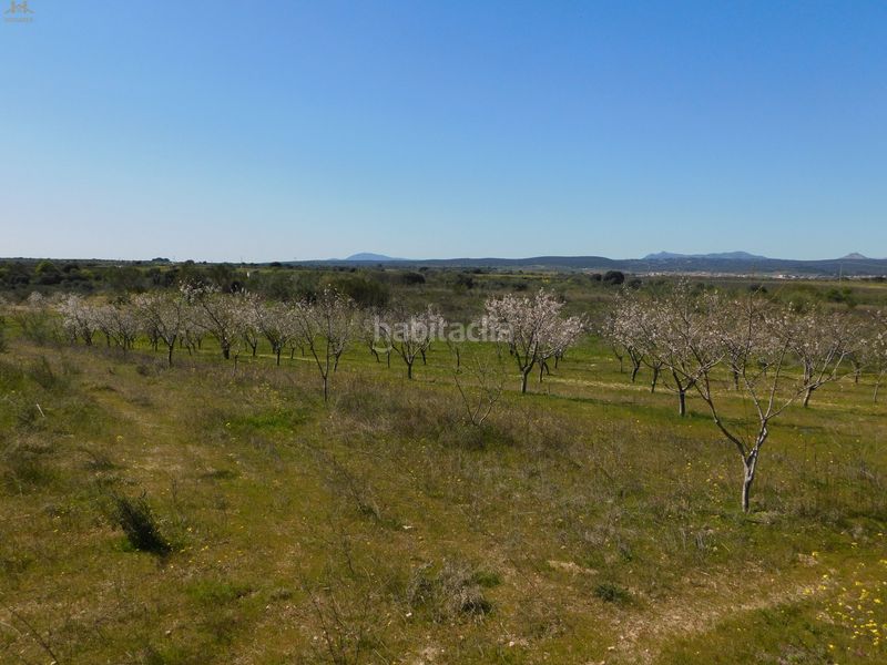 Foto 1a76003a-cb65-4984-8bb0-9af03107189b. Finca rústica  de 104.853 m² en Villa del Prado