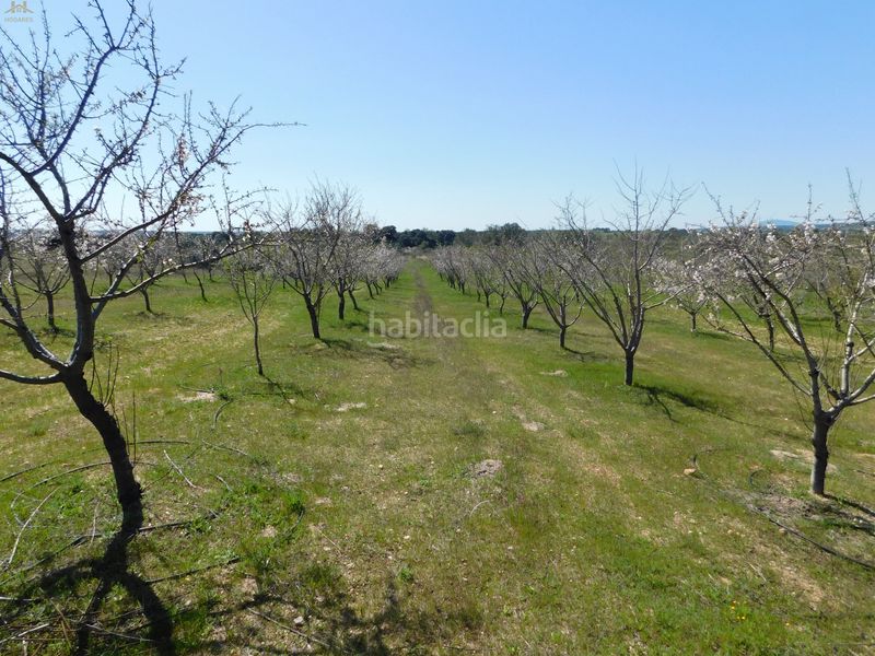 Foto 3c68c2ec-e38c-4119-9089-e9070626bcd8. Finca rústica  de 104.853 m² en Villa del Prado