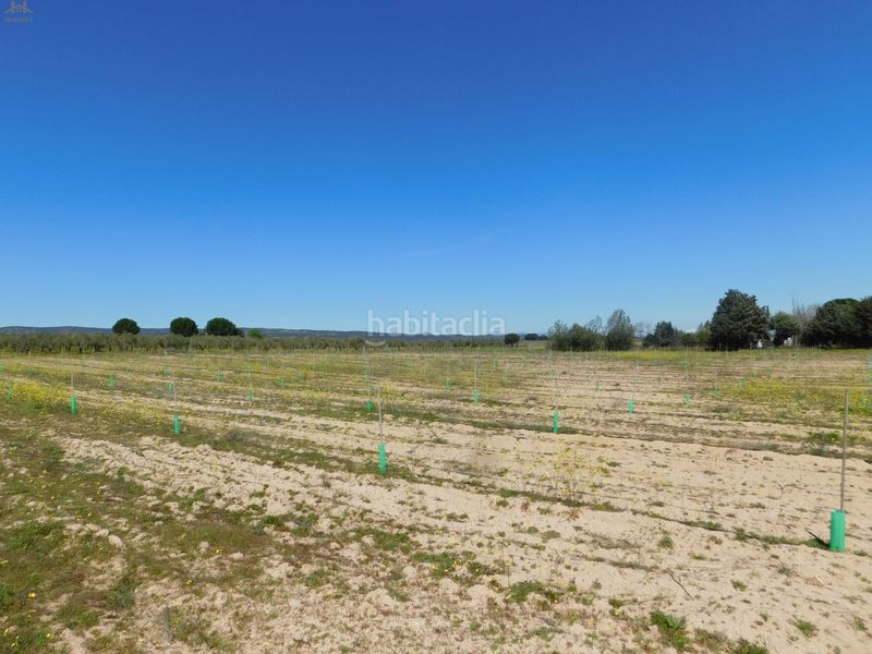 Foto 3dfd0914-e8d2-4915-8102-158cf6c6ad76. Finca rústica  de 104.853 m² en Villa del Prado