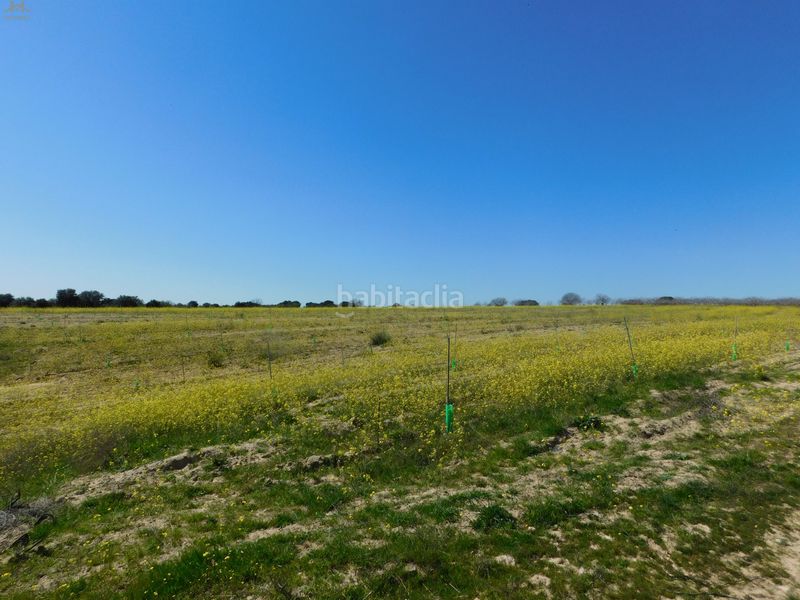 Foto 4de73fed-ecf6-405e-830c-f414ab1034d1. Finca rústica  de 104.853 m² en Villa del Prado