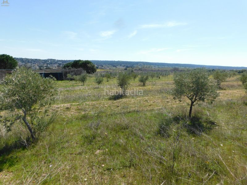 Foto 5069d898-a83a-457c-9abb-18dc860c7c50. Finca rústica  de 104.853 m² en Villa del Prado