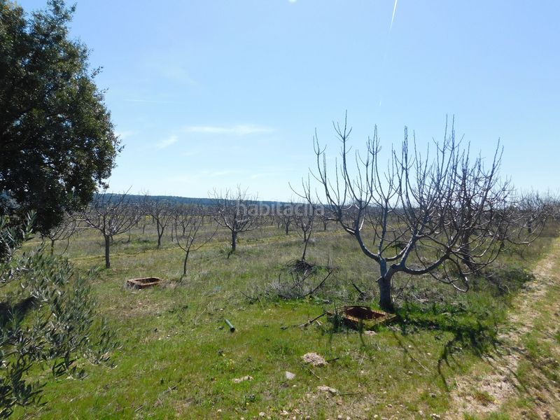 Foto 5557195d-b4a3-49f7-ac0d-c93f36186494. Finca rústica  de 104.853 m² en Villa del Prado