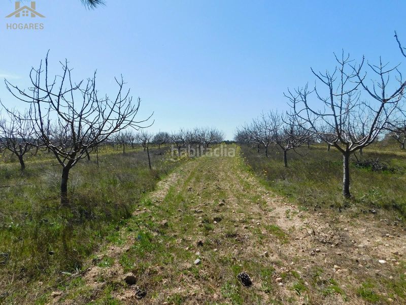 Foto 5ad703a2-2782-44e0-99b6-754e2a5a6c32. Finca rústica  de 104.853 m² en Villa del Prado