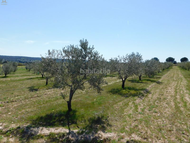 Foto 5c81009a-fe01-4ad4-b213-e0f7569d0acd. Finca rústica  de 104.853 m² en Villa del Prado