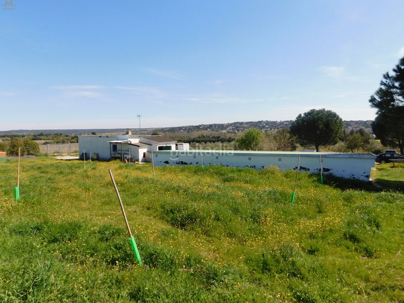 Foto 61750afb-27a2-425c-8ac7-3da6e52ab602. Finca rústica  de 104.853 m² en Villa del Prado