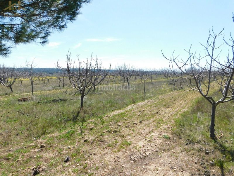 Foto 6ffb5abd-1107-4966-bbd9-e2628dbd7755. Finca rústica  de 104.853 m² en Villa del Prado