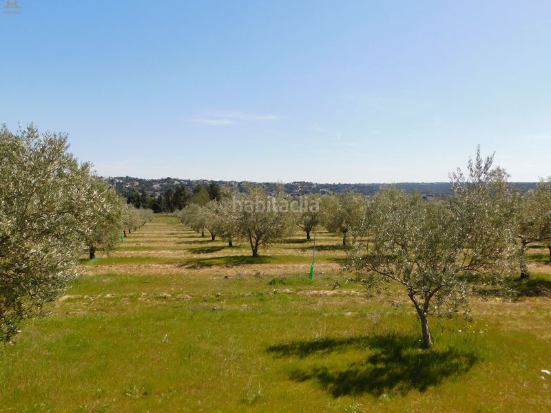 Foto 70d74116-c01a-4291-9655-37d74f8c1f54. Finca rústica  de 104.853 m² en Villa del Prado