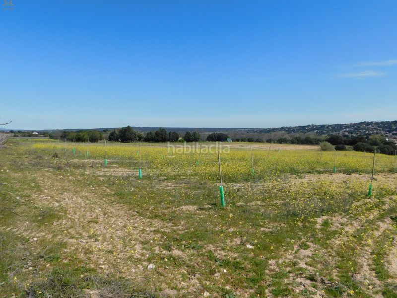 Foto 8821b596-50d2-496b-9831-c0e48358688e. Finca rústica  de 104.853 m² en Villa del Prado