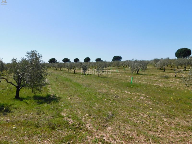 Foto 942778aa-b3a7-42db-94b3-16d9590d1148. Finca rústica  de 104.853 m² en Villa del Prado