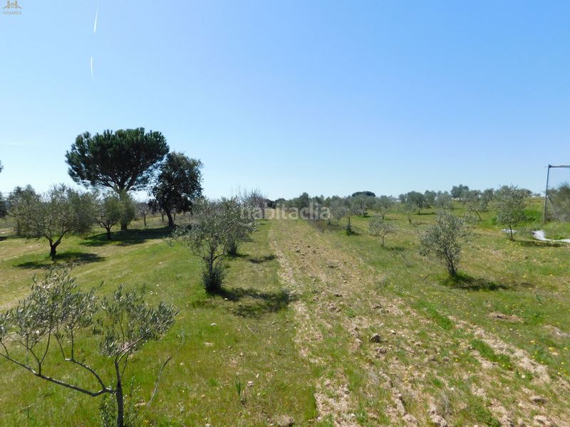 Foto 954b7434-49c1-4d33-8bc4-1c7c27b4e325. Finca rústica  de 104.853 m² en Villa del Prado