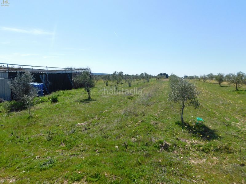 Foto 9880d881-3e2c-4207-a53e-77dd7b365b89. Finca rústica  de 104.853 m² en Villa del Prado