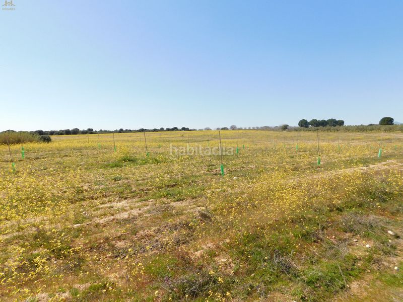 Foto 9973ca17-3916-4ac0-aae2-1d64e236ef11. Finca rústica  de 104.853 m² en Villa del Prado