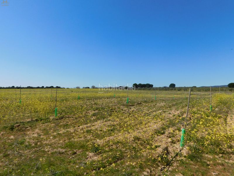 Foto a2b72893-3bef-42fb-a276-1df3964ae809. Finca rústica  de 104.853 m² en Villa del Prado