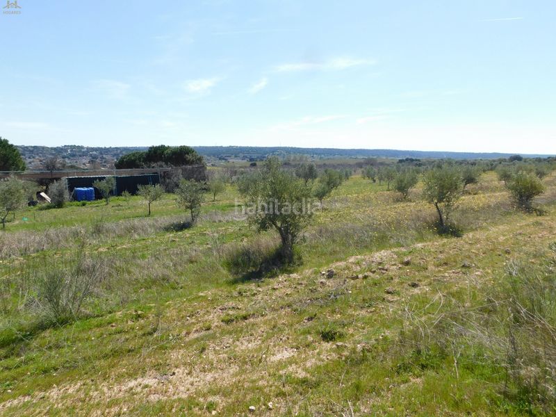 Foto baf01bed-7539-49b0-b77c-afb8de8c9b66. Finca rústica  de 104.853 m² en Villa del Prado